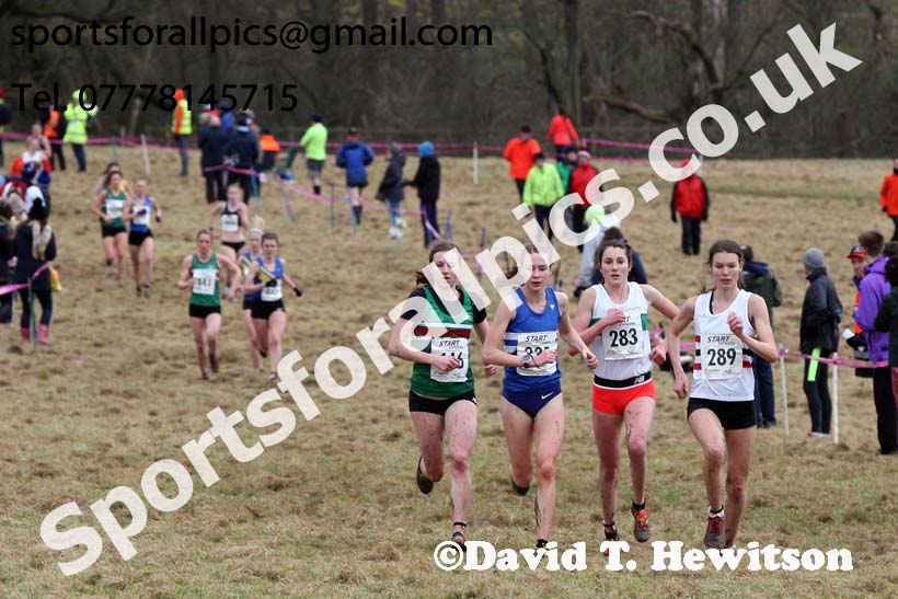 Senior women, 2018 Northern Cross Country Champs., Harewood House, Leeds. Photo: David T. Hewitson/Sports for All Pics